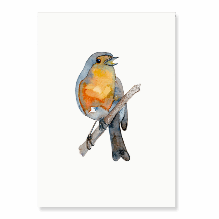 Robin 3: A5