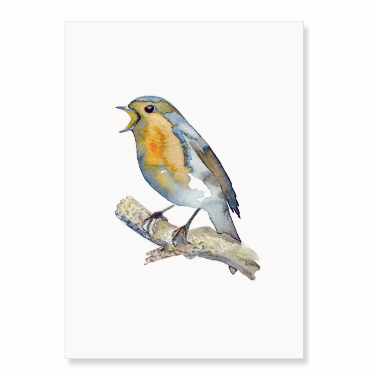 Robin 4: A5