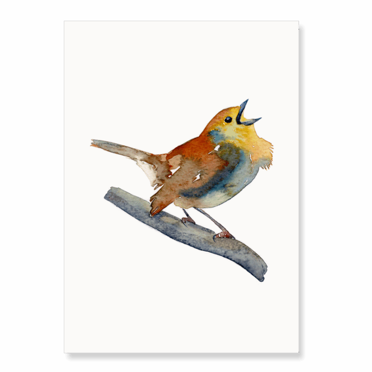 Robin 5: A5