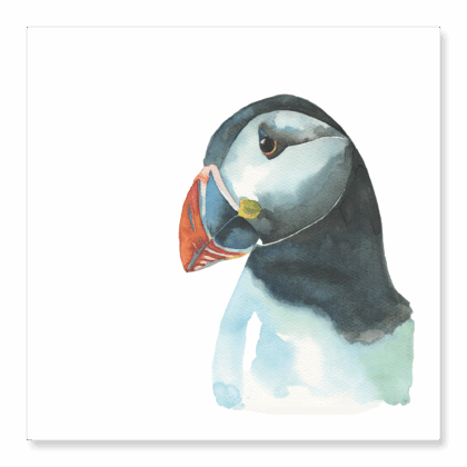 Greetings Card: Puffin