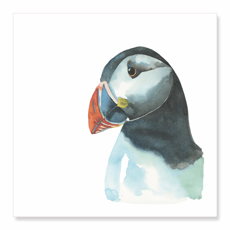 Greetings Card: Puffin