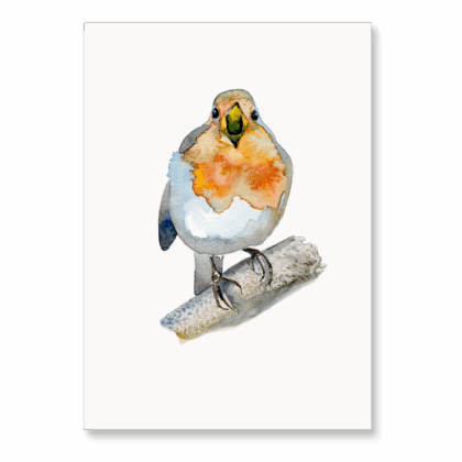 Robin A5: 1