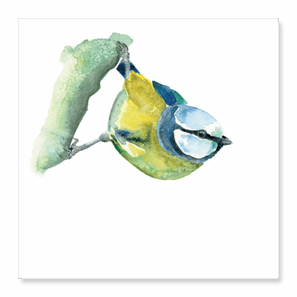 Greetings Card: Blue Tit