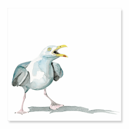 Greetings Card: Herring Gull