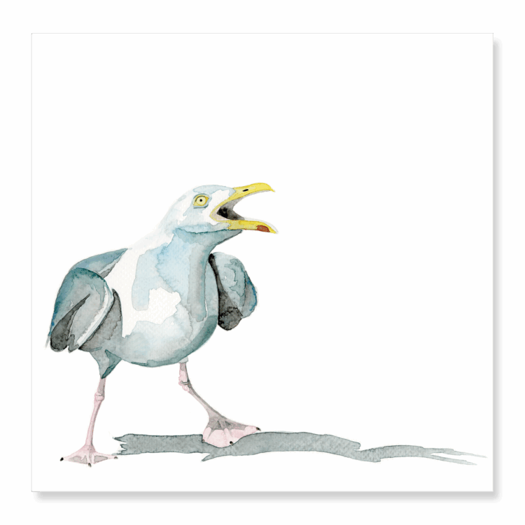 Greetings Card: Herring Gull