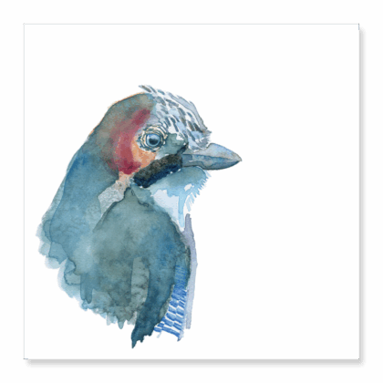 Greetings Card: Jay