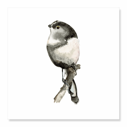 Greetings Card: Long-tailed Tit