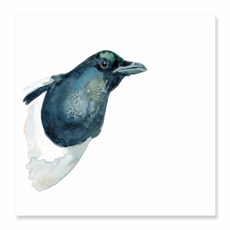 Greetings Card: Magpie