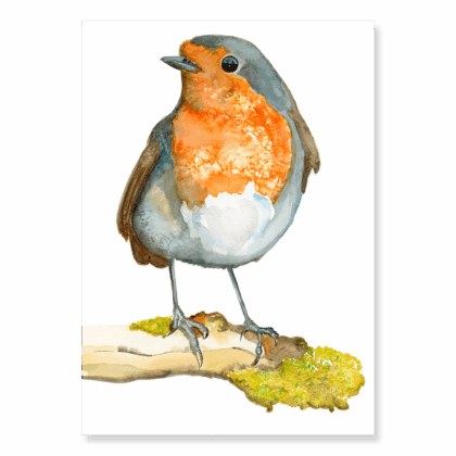 Robin on a Branch: A4
