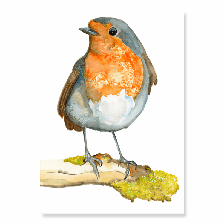 Robin on a Branch: A4