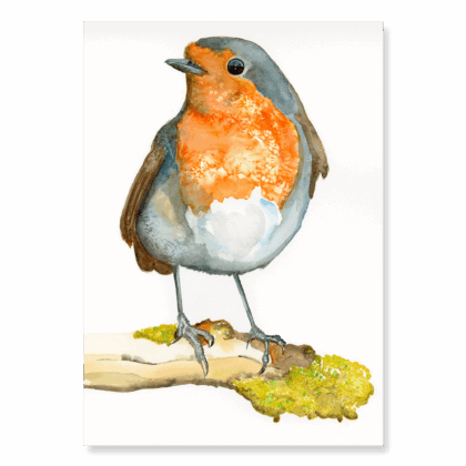 Robin on Branch: A4