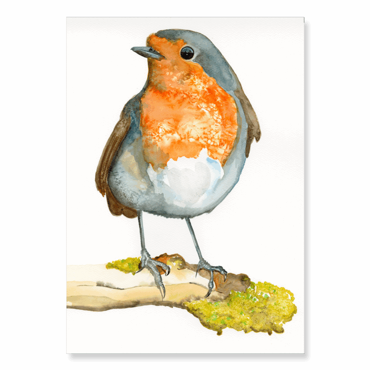 Robin on Branch: A4