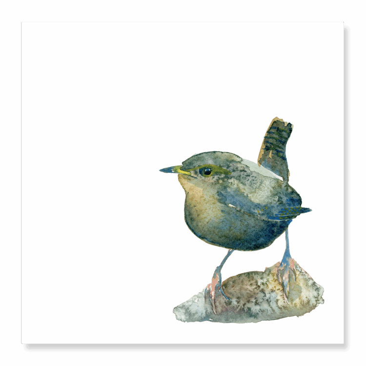 Greetings Card: Wren 2