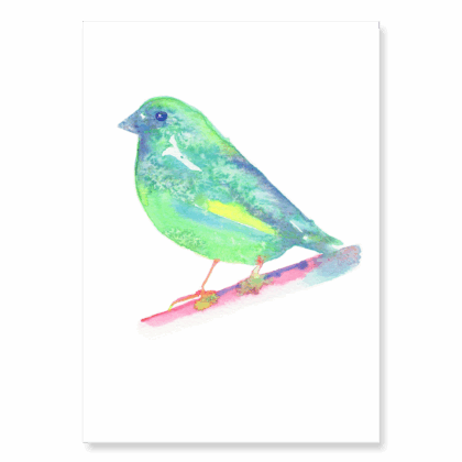 Luminous Greenfinch: A5