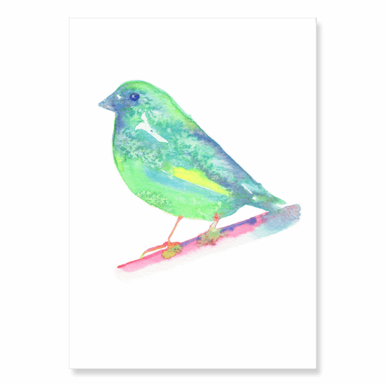 Luminous Greenfinch: A5