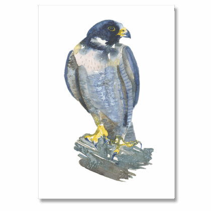 Peregrine 1: A5