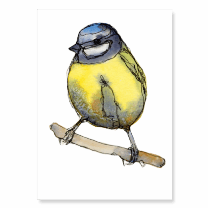 Continuous Line Blue Tit 2: A6