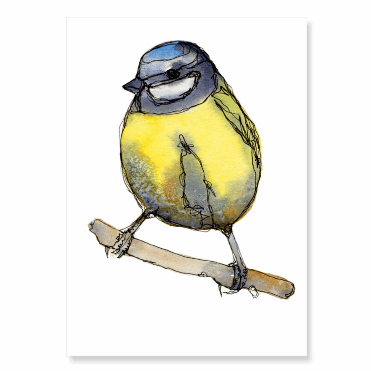Continuous Line Blue Tit 2: A6