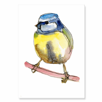 Continuous Line Blue Tit 3: A6