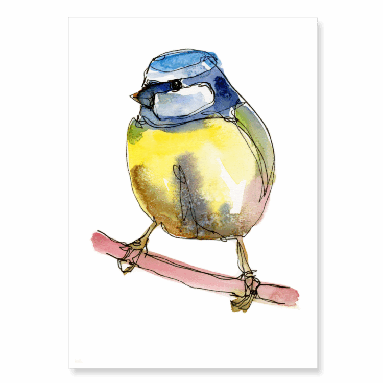 Continuous Line Blue Tit 3: A6