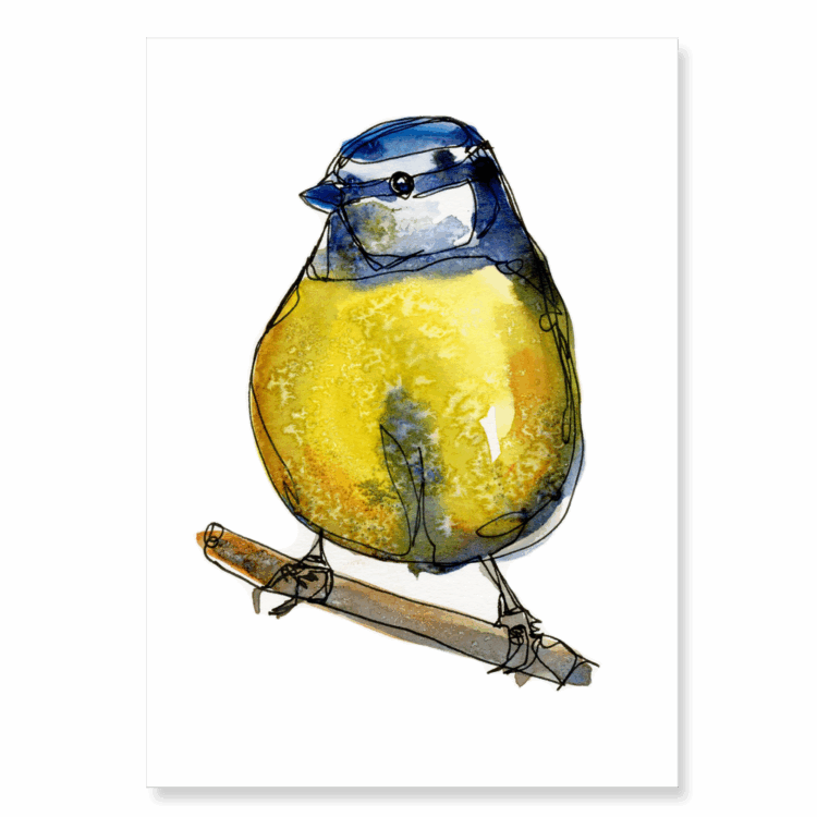 Continuous Line Blue Tit 4: A6