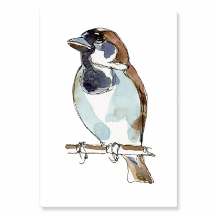 Continuous Line House Sparrow 1: A6