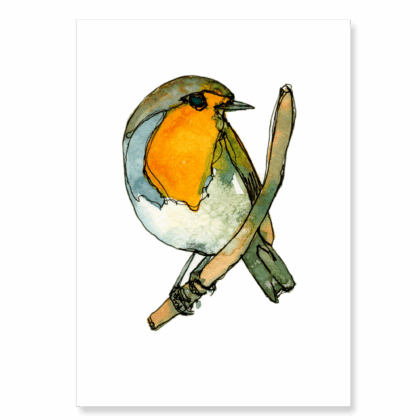 Continuous Line Robin: A6