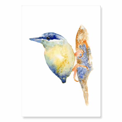 Nuthatch: A6