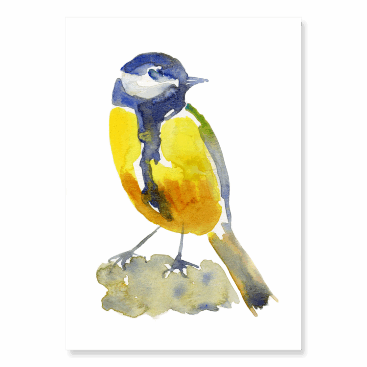 Blurred Great Tit 2: A5