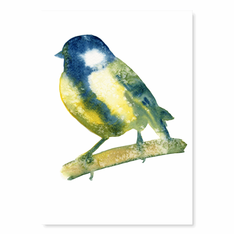 Blurred Great Tit 1: A5