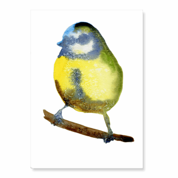 Blurred Blue Tit: A5