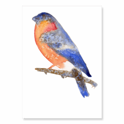 Blurred Bullfinch: A5