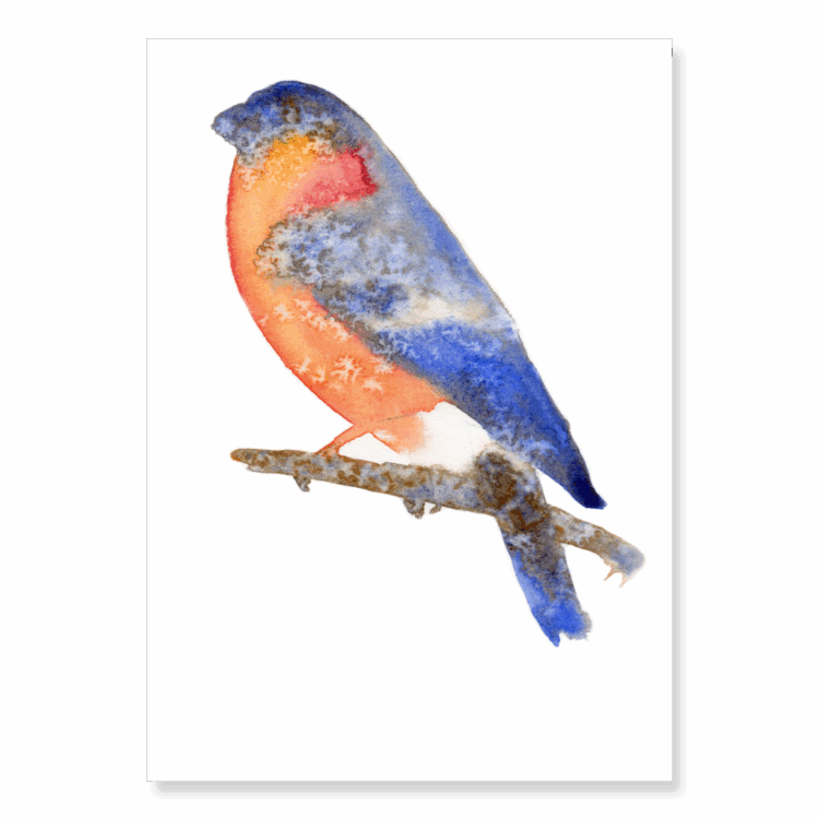 Blurred Bullfinch: A5