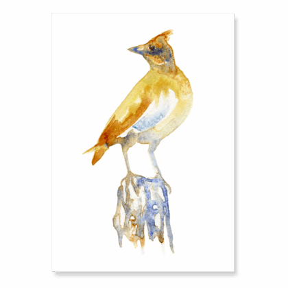 Skylark: A6