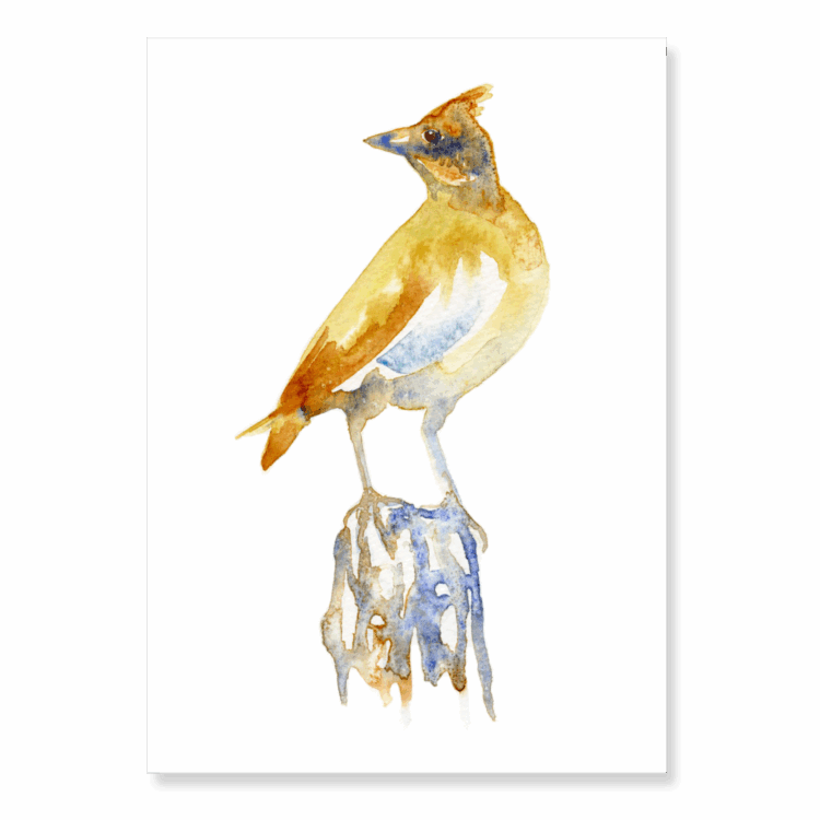Skylark: A6