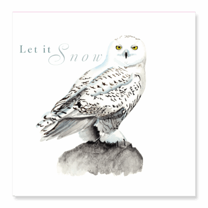 Snowy Owl - Let it Snow