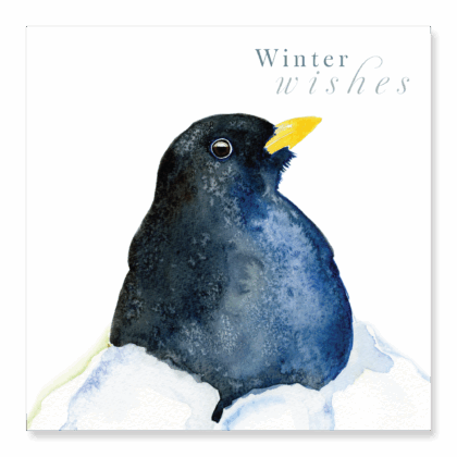 Blackbird - Winter Wishes