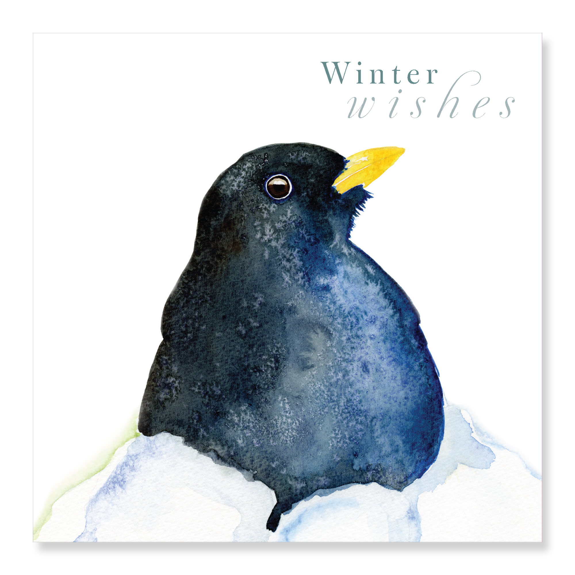 Blackbird - Winter Wishes