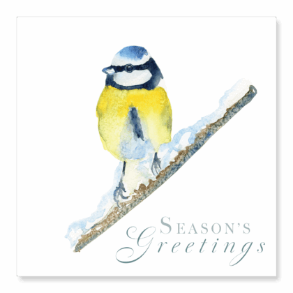 Blue Tit - Season's Greetings