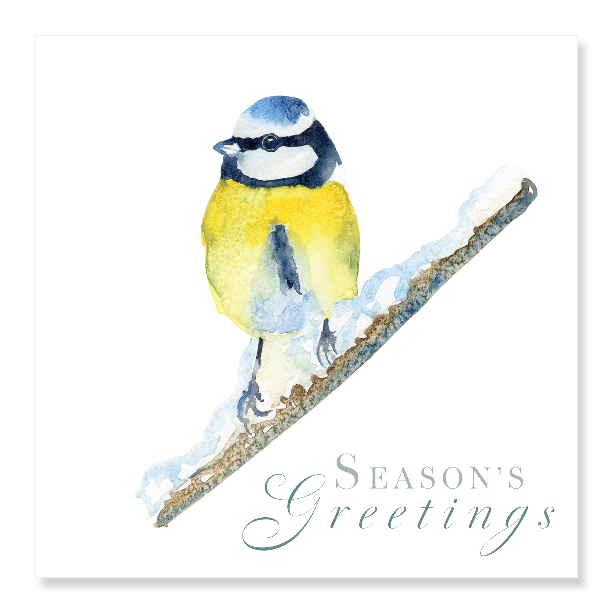 Blue Tit - Season's Greetings