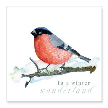 Bullfinch - Winter Wonderland
