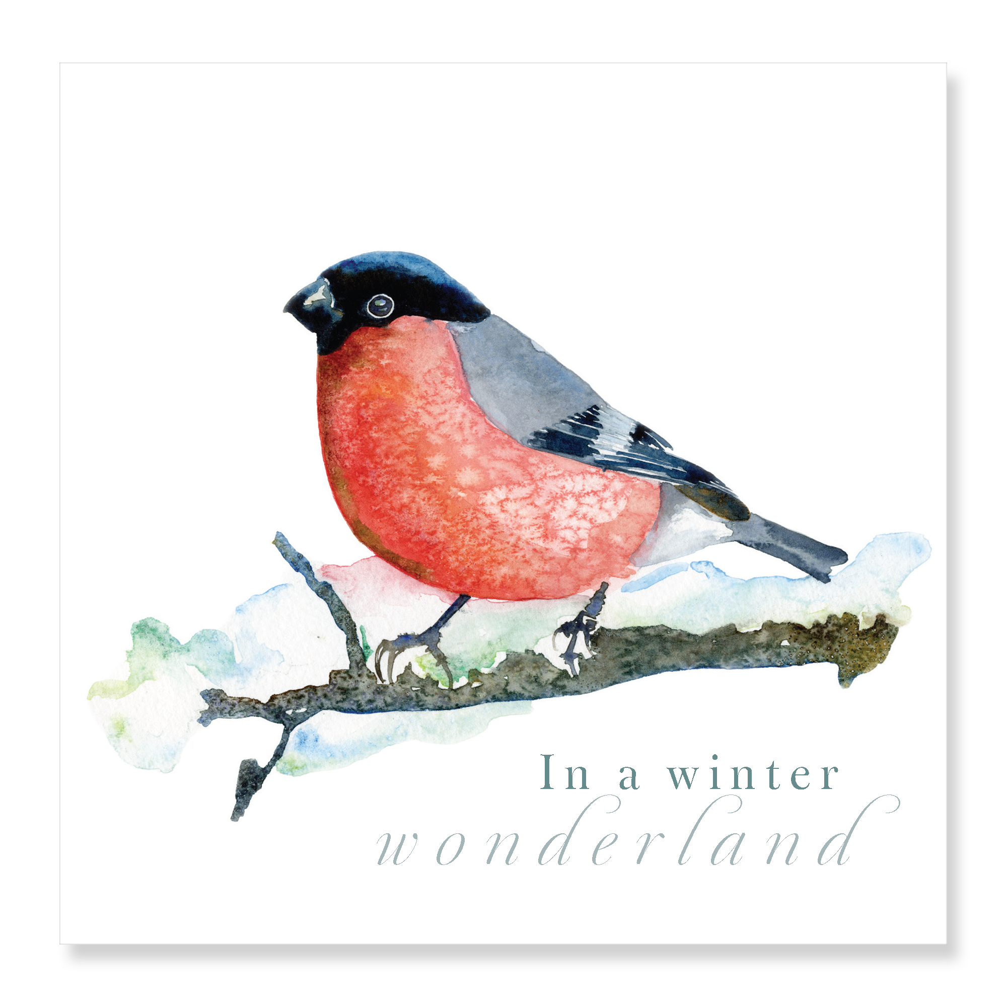 Bullfinch - Winter Wonderland