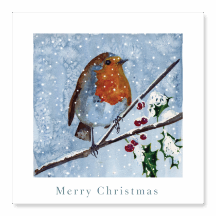 Robin - Merry Christmas