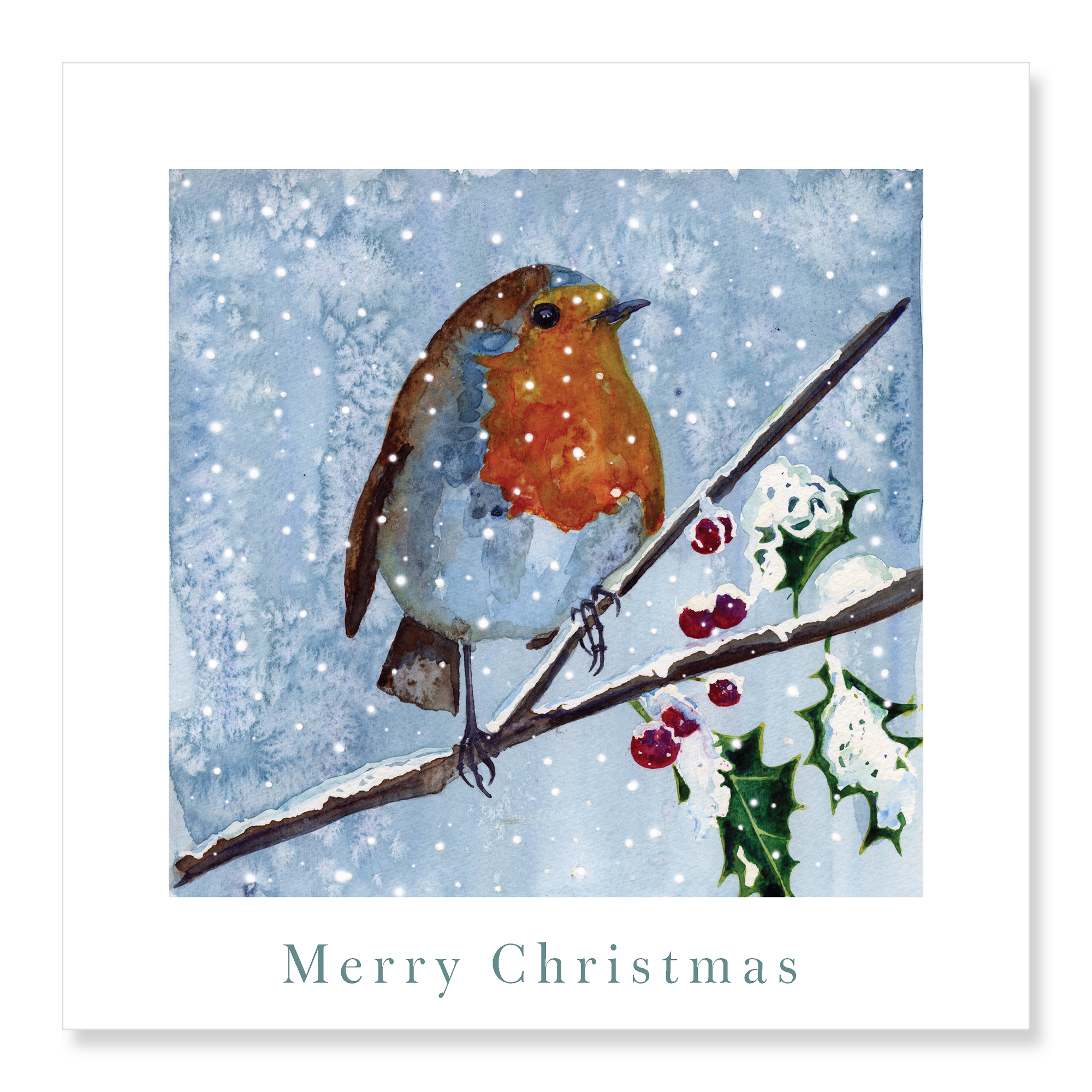 Robin - Merry Christmas