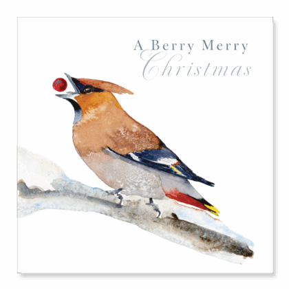 Waxwing - A Merry Berry Christmas