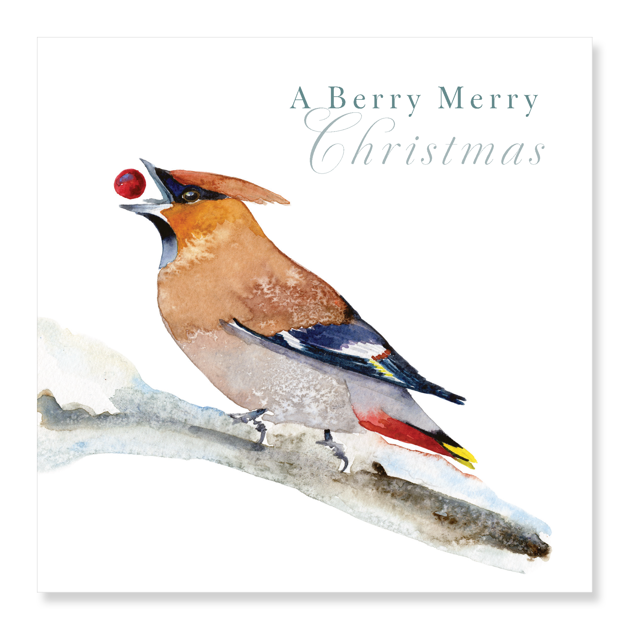 Waxwing - A Merry Berry Christmas