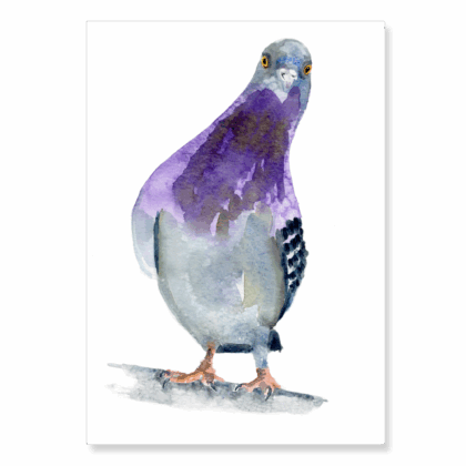 Pigeon 4: A5