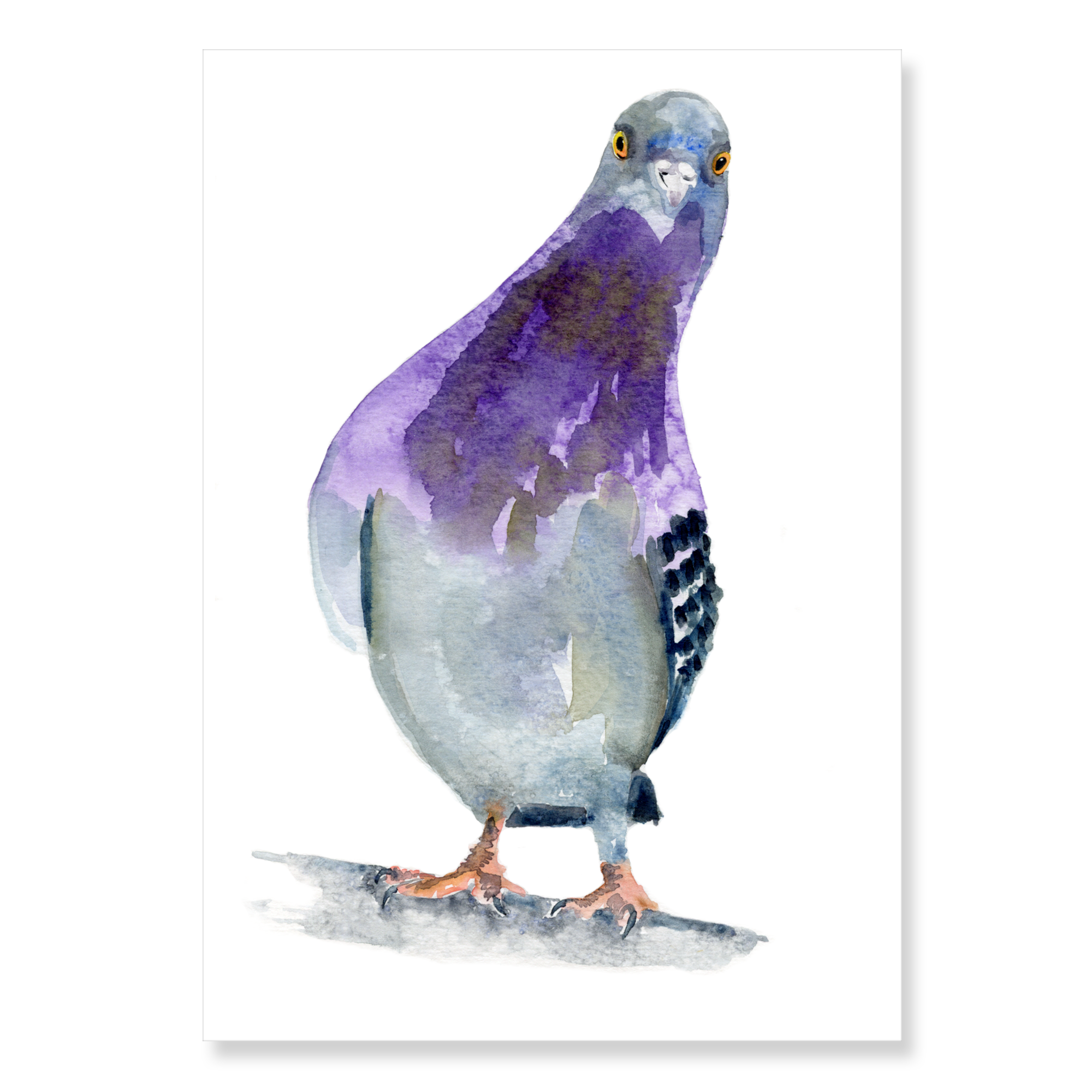 Pigeon 4: A5
