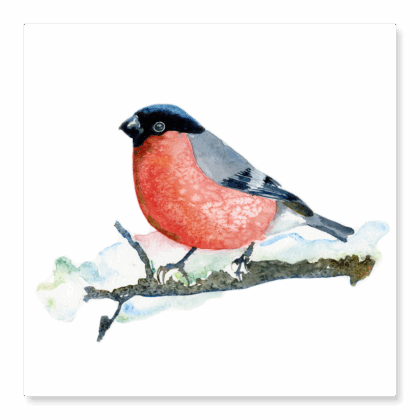 Bullfinch in the Snow - Original