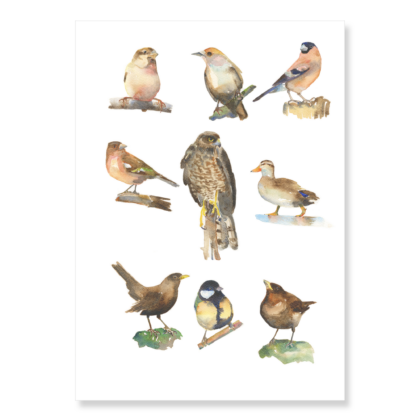 International Women's Day 2025